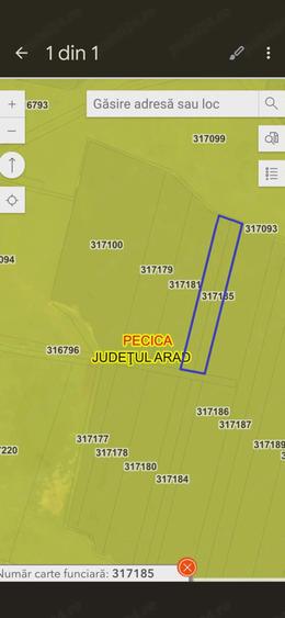 Vand teren agricol in Pecica( Turnu) 3,9 ha(fara contract cu arendas) - 2