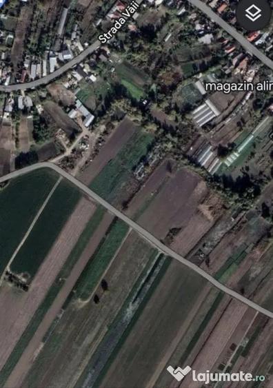 Teren de 2000 mp, în Măgurele
