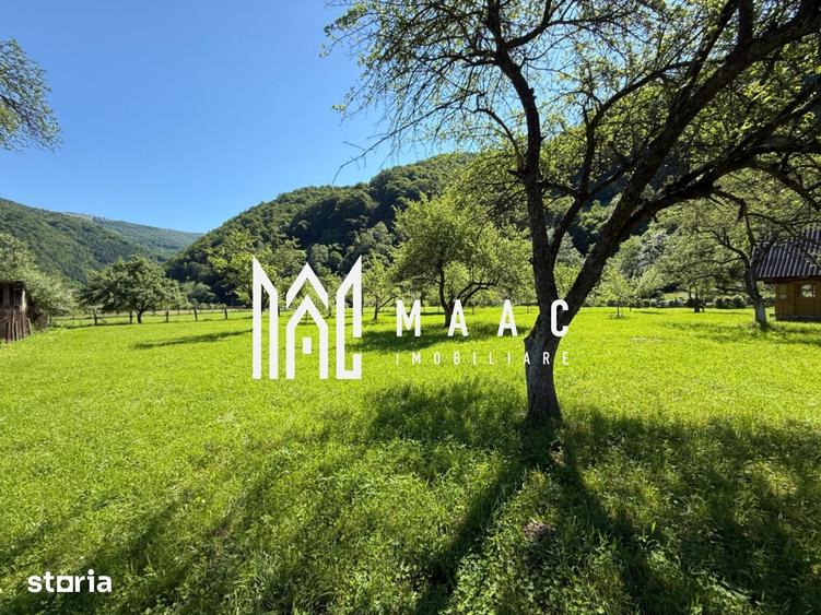Teren de 3050 mp, în Câineni