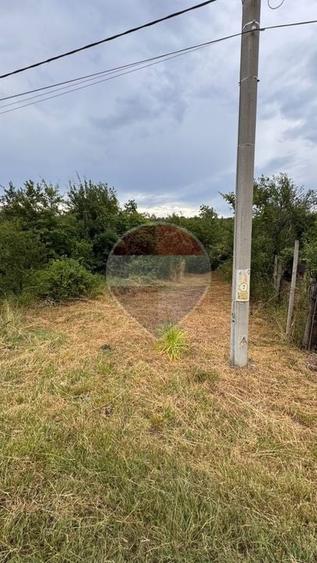 Teren Construcții intravilan de 20798 mp, în Prunișor