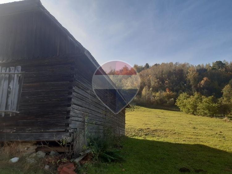 Teren agricol intravilan de 3658 mp, în Bran