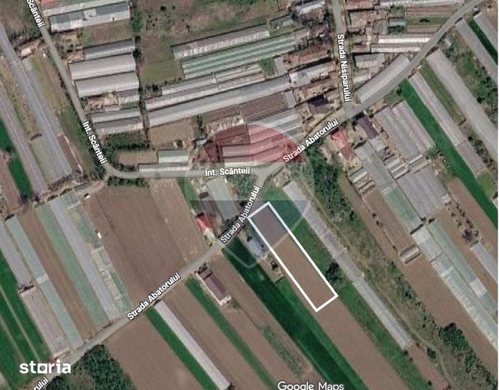 Teren intravilan | Campurelu, Giurgiu | Oportunitate de Investi?ie - 1