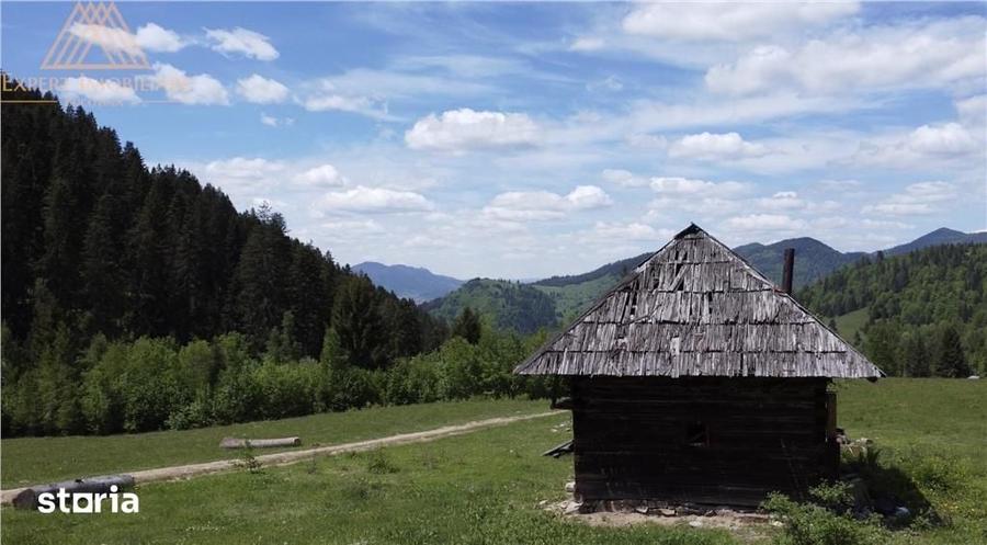 Teren de 100000 mp, în Central