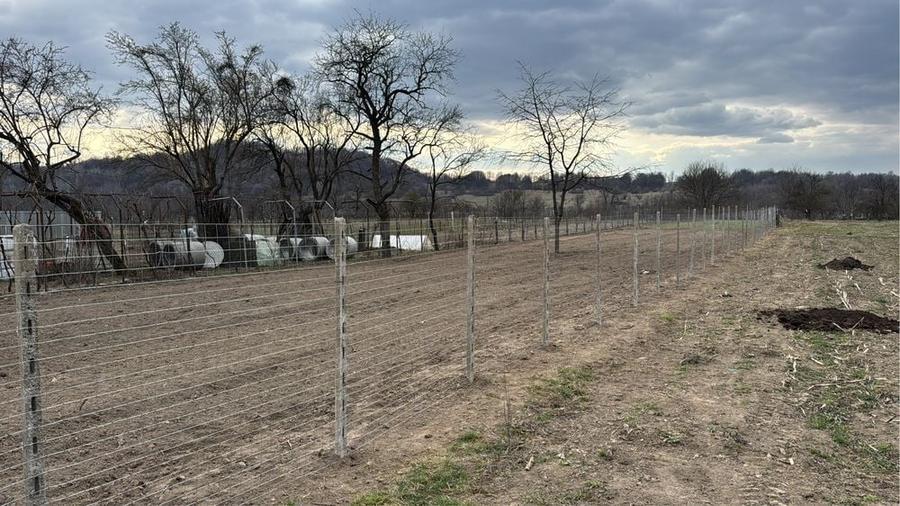 Casă cu 4 camere cu Teren 1000 Mp în Central