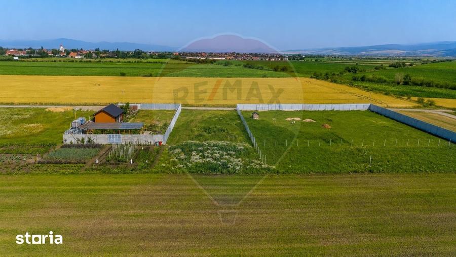 Teren de 1020 mp, în Central