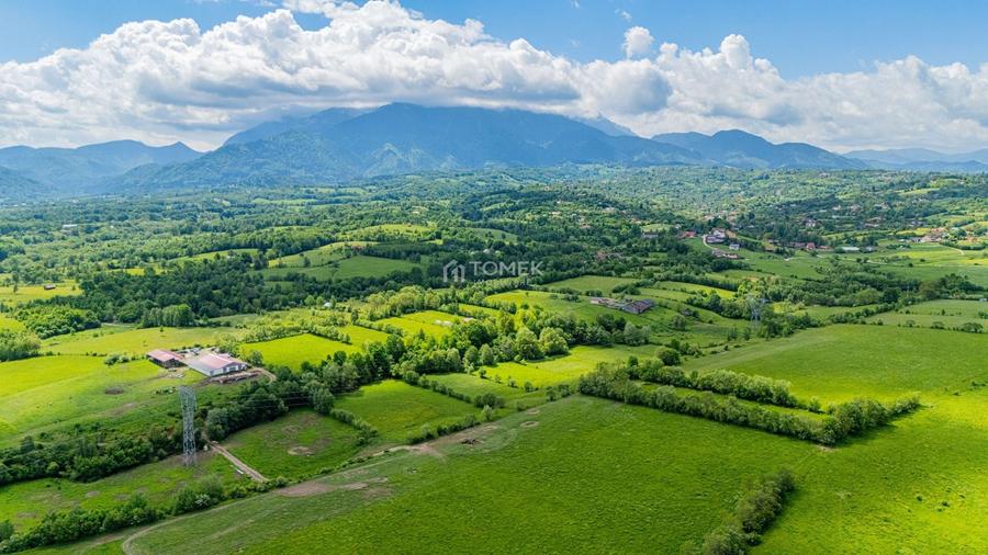 Teren agricol extravilan de 5800 mp, în Tohanu Nou