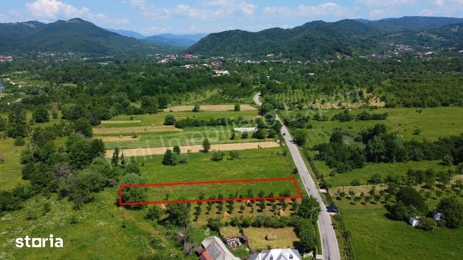 Teren de 2000 mp, în Domnești
