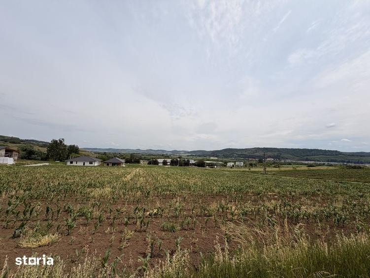 Teren de 2000 mp, în Central