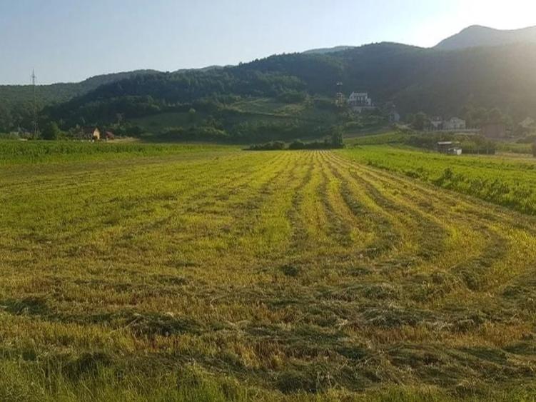 Teren Construcții intravilan de 4418 mp, în Cetate