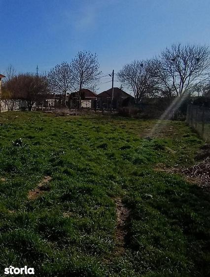 Poiana -Teren intravilan de vanzare, acces asfaltat - 4