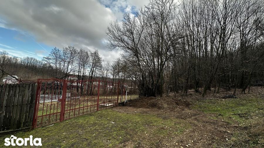Teren de 844 mp, în Băbana