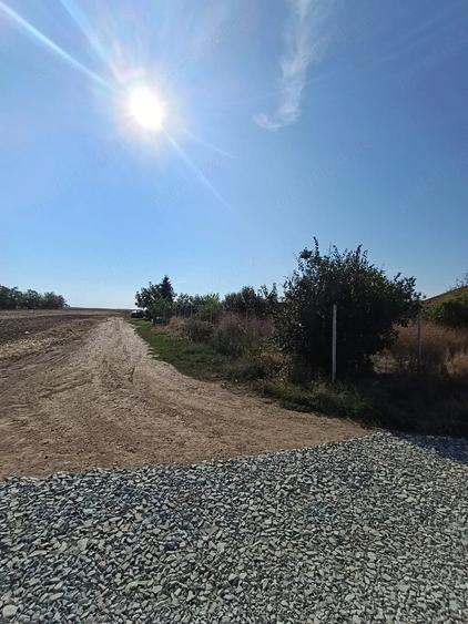 Teren de 780 mp, în Berceni