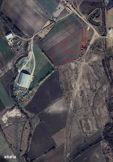 Teren de 11500 mp, în Biharia