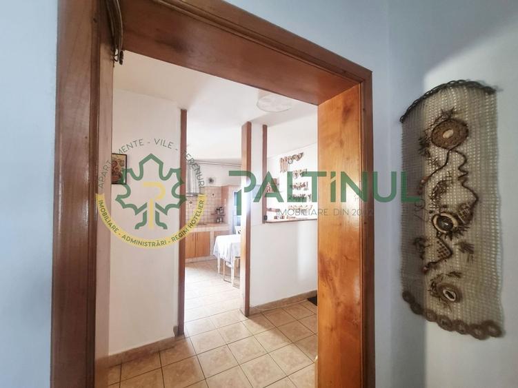 Apartament cu 3 camere decomandat, mobilat în Terezian