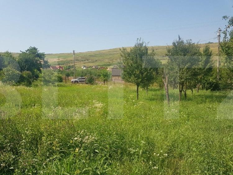 Teren Construcții intravilan de 11600 mp, în Apahida