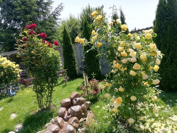 Casă cu 5 camere cu Teren 2100 Mp în Malu cu Flori