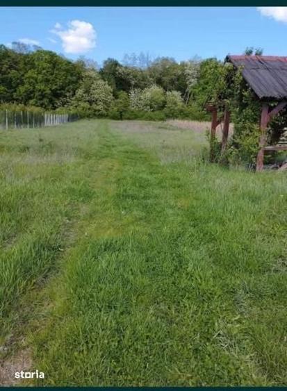 Casă cu 4 camere cu Teren 352 Mp în Ceica