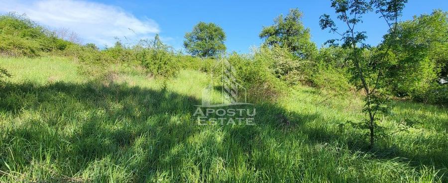 Teren intravilan, In Rate Cuied Arad - 1