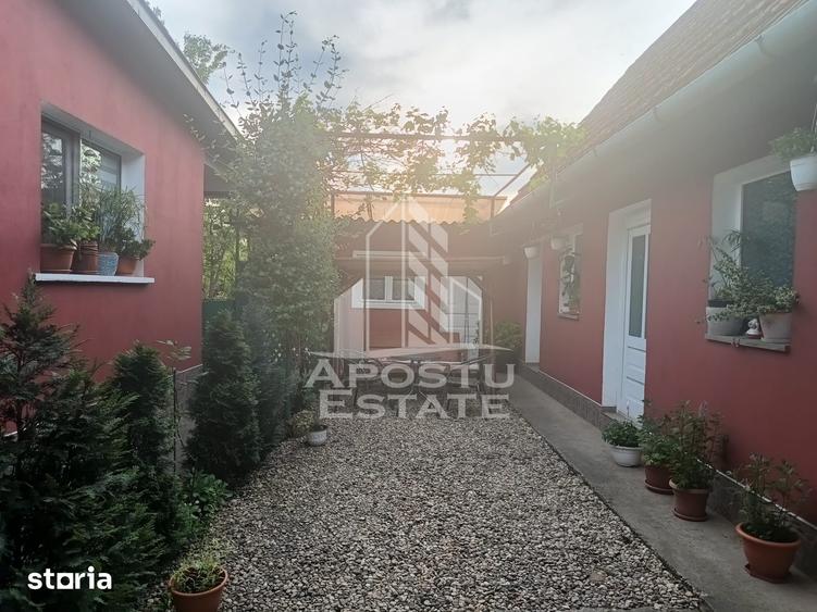 Casa individuala la sat, 5 camere, in Voiteg, judetul Timis - 3