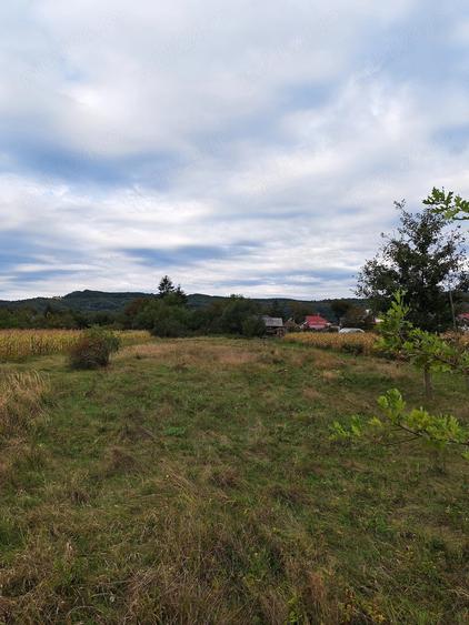 Teren de 5000 mp, în Central