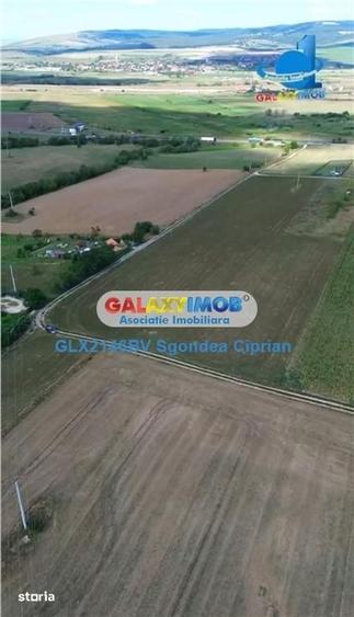 Teren de 1633 mp, în Feldioara