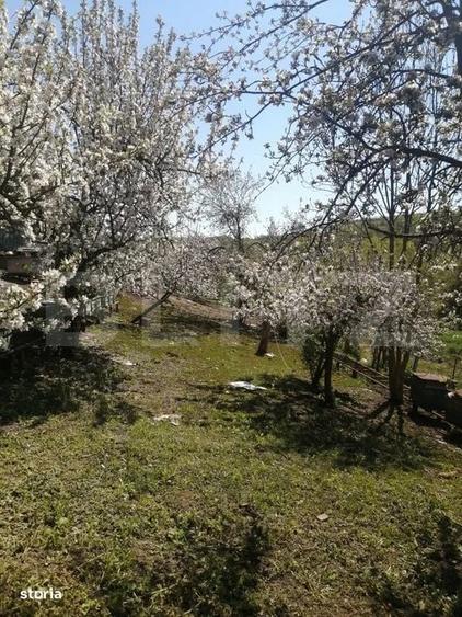 Casă cu 4 camere în Păcureni