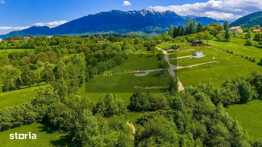 Teren de 500 mp, în Central