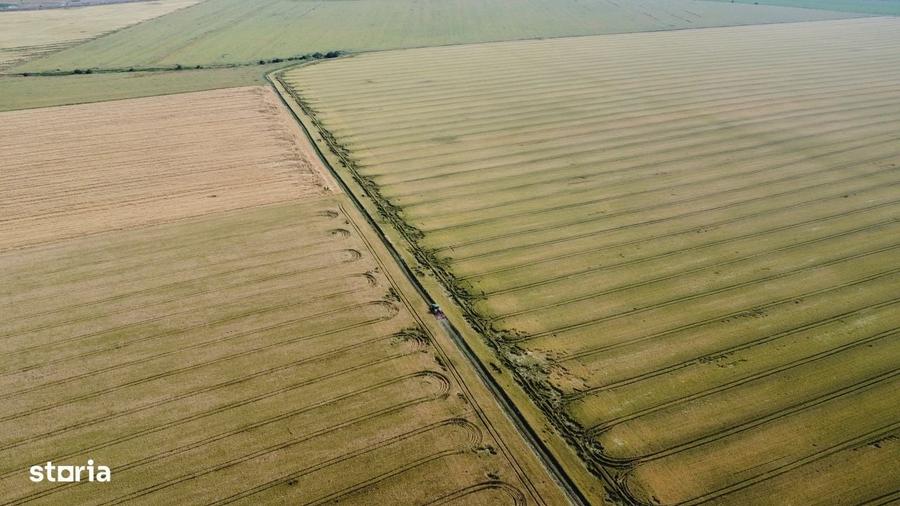 Teren intravilan 4,73 ha Cumpana ideal investitie / dezvoltare - 7