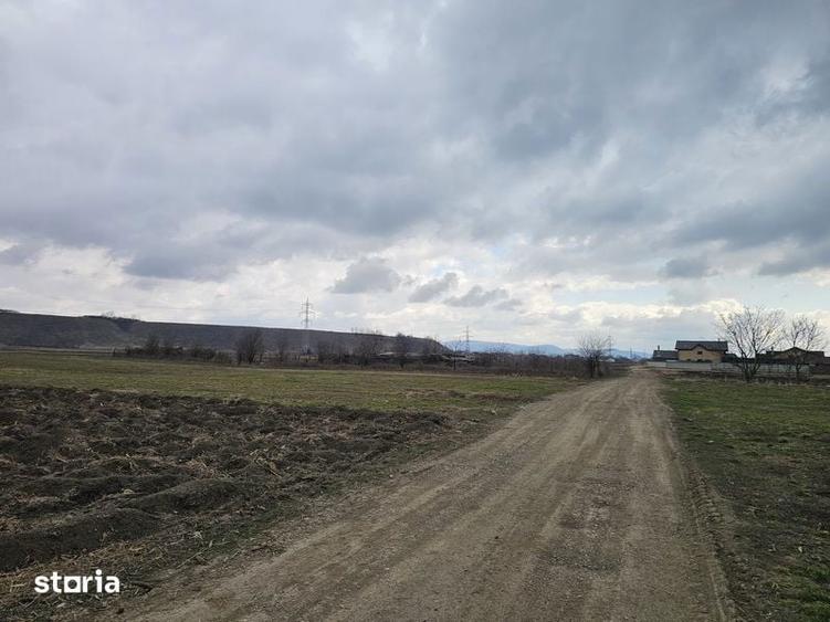 Teren de 5957 mp, în Central
