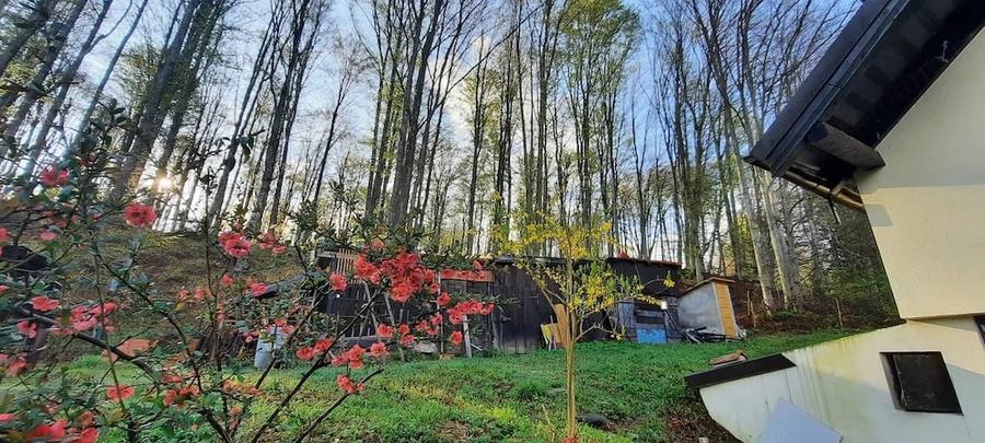 Casă cu 4 camere cu Teren 800 Mp în Central