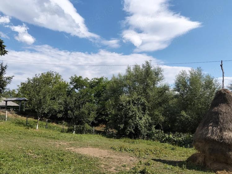 Casă cu 3 camere cu Teren 1000 Mp în Socea