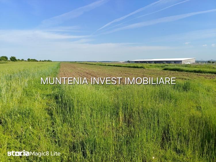 Teren de 11197 mp, în Moșoaia