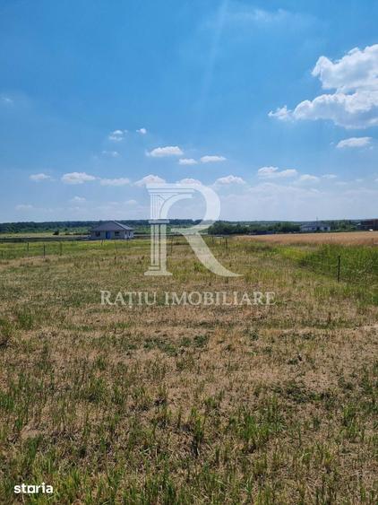 Teren intravilan | Cihei | Bihor - 3
