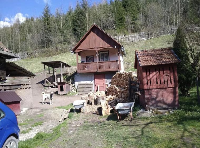 Casă cu 4 camere cu Teren 1900 Mp în Central