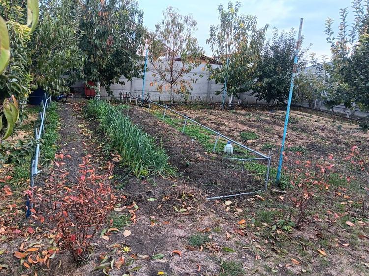 Casă cu 3 camere cu Teren 700 Mp în Central