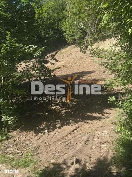 Teren Valea Doftanei, zona Pe Vale - Baraj Paltinu - 6