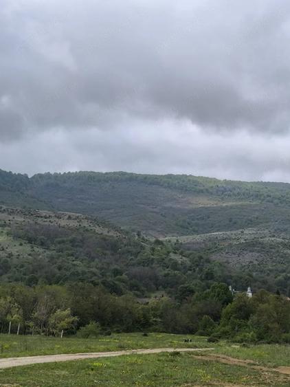 Teren de 1000 mp, în Dobrița
