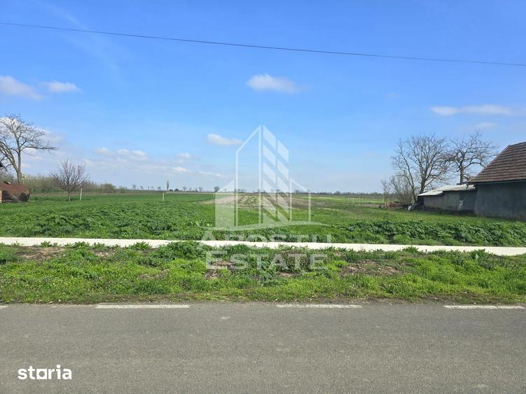 Teren de 5443 mp, în Aradul Nou