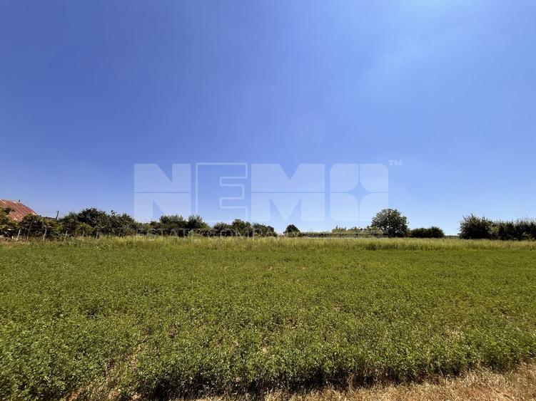 Teren agricol intravilan de 2526 mp, în Tișăuți