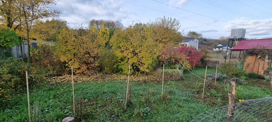 Teren Construcții intravilan de 3209 mp, în Curtești