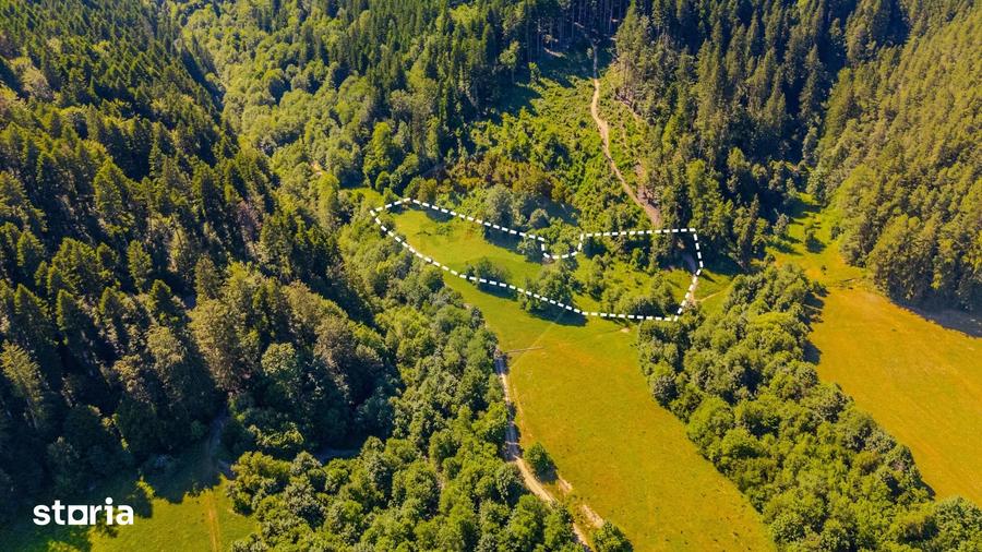 Teren de 6000 mp, în Brădet