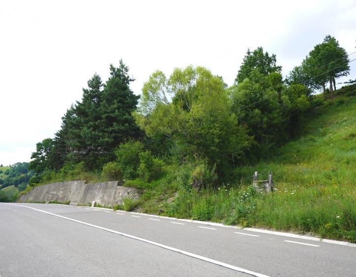 Teren agricol intravilan de 1723 mp, în Hangu