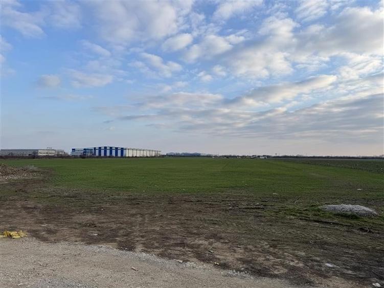 Teren Construcții intravilan de 29659 mp, în Clinceni