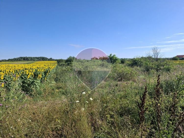 Teren agricol extravilan de 28800 mp, în Poșta