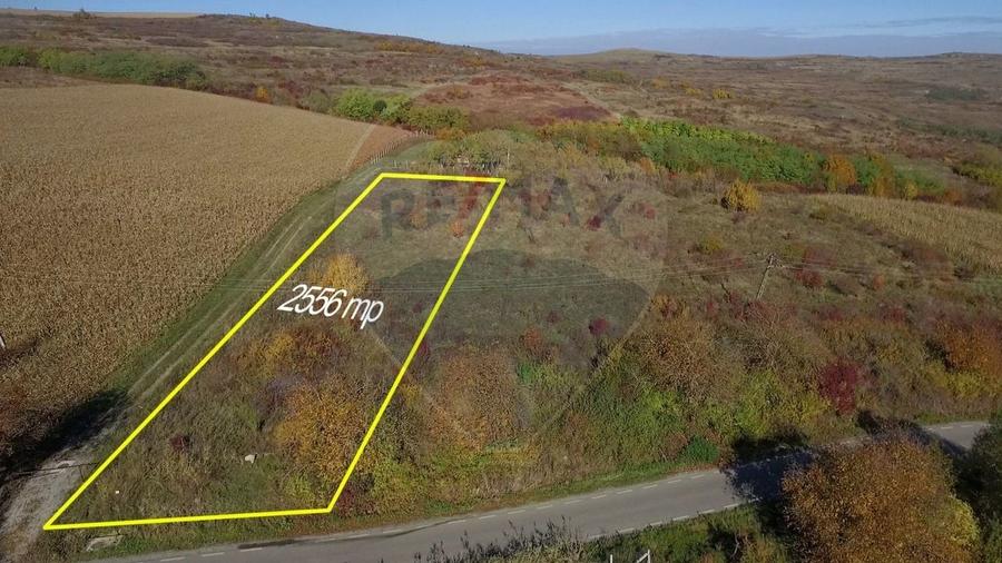 Teren agricol intravilan de 2556 mp, în Pădureni (Chinteni)