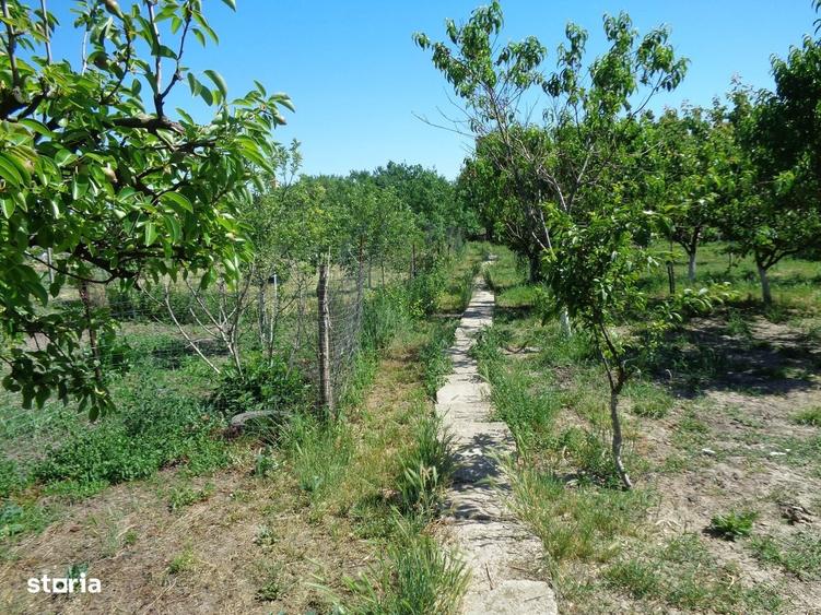 Casă cu 3 camere în Turnu