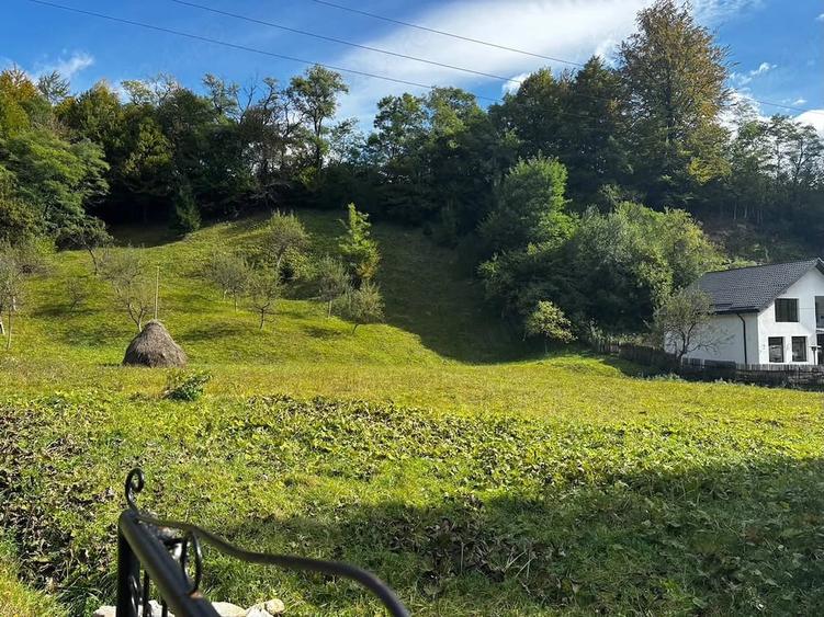 Teren de 2500 mp, în Central