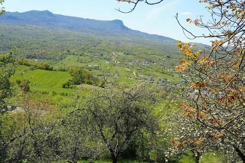 Teren de 10000 mp, în Breb