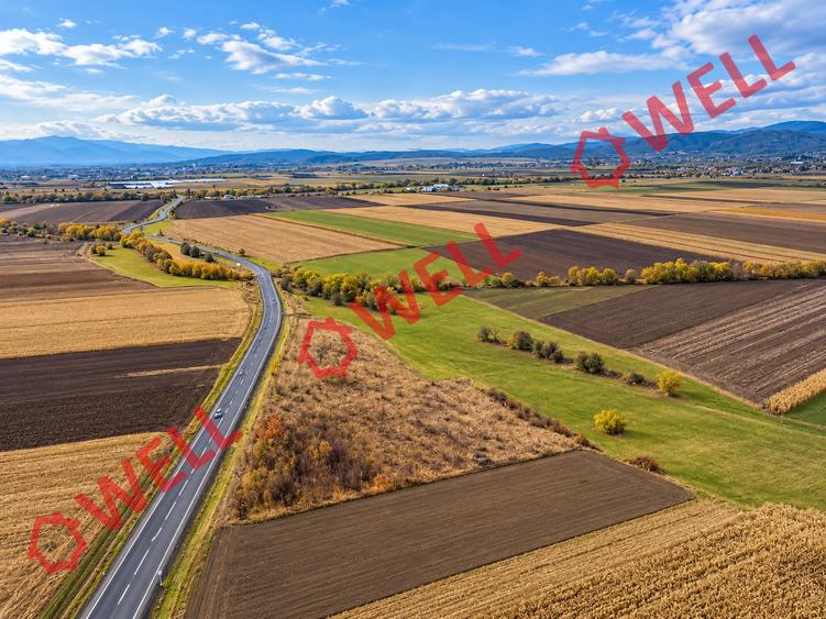 Teren extravilan de 11300 mp, în Bodoc