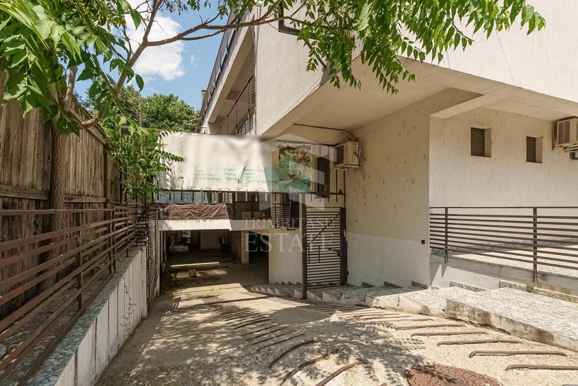 Spațiu comercial, de 424 mp, în Băneasa